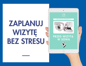 Przedprzewodnik